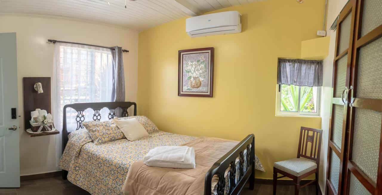 Alice Y Juancito Boutique Hotel 阿拉胡埃拉 外观 照片